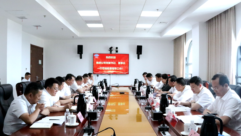 2022年6月，集團公司黨委書記、董事長戴和根一行到公司調研指導工作
